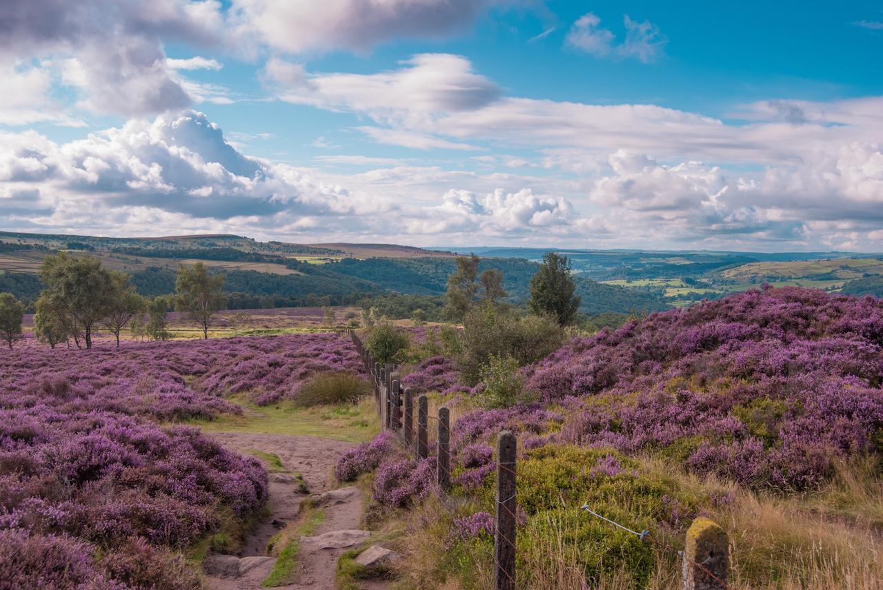 Fern Bank Bed & Breakfast Great Rowsley Eksteriør bilde