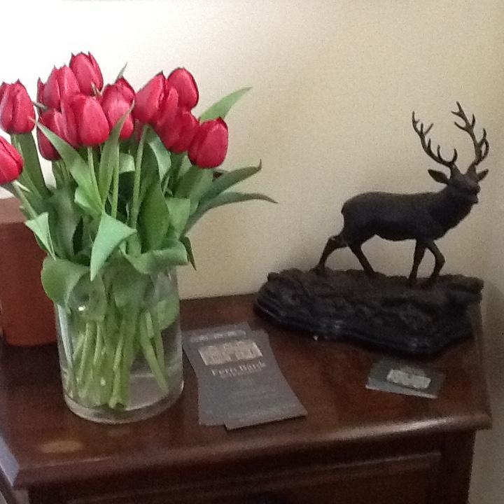 Fern Bank Bed & Breakfast Great Rowsley Eksteriør bilde